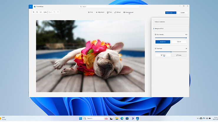 Screen de Windows 11 mostrando un perro rodeado de flores